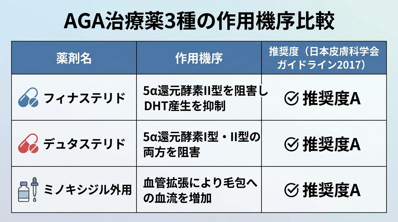 タイトル: AGA治療薬3種の作用機序比較。3列の表: ヘッダー行: 薬剤名 | 作用機序 | 推奨度(日本皮膚科学会ガイドライン2017)。行1: フィナステリド | 5α還元酵素II型を阻害しDHT産生を抑制 | 推奨度A。行2: デュタステリド | 5α還元酵素I型・II型の両方を阻害 | 推奨度A。行3: ミノキシジル外用 | 血管拡張により毛包への血流を増加 | 推奨度A。