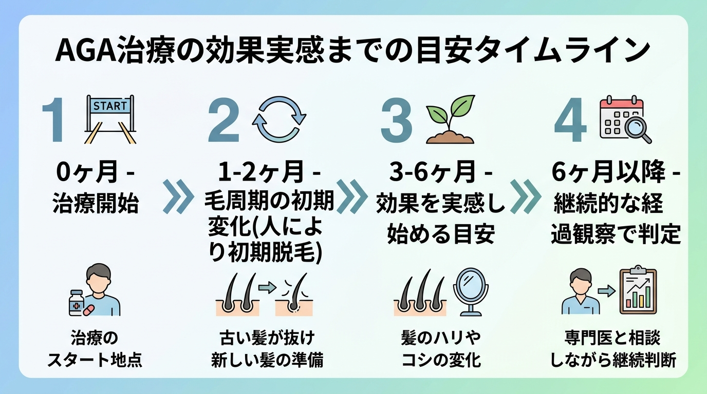 タイトル: AGA治療の効果実感までの目安タイムライン。時系列: 0ヶ月-治療開始。1-2ヶ月-毛周期の初期変化(人により初期脱毛)。3-6ヶ月-効果を実感し始める目安。6ヶ月以降-継続的な経過観察で判定