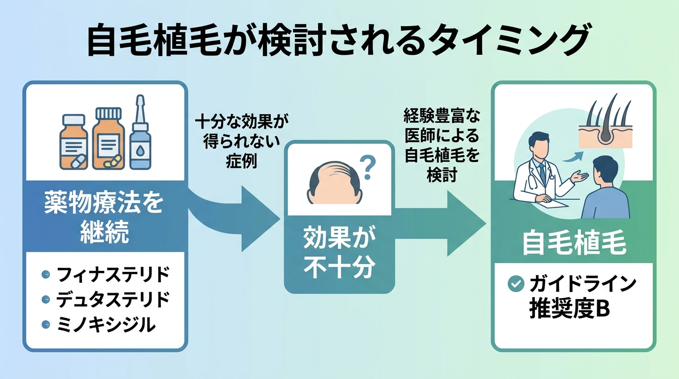 タイトル: 自毛植毛が検討されるタイミング。フロー図: 薬物療法(フィナステリド・デュタステリド・ミノキシジル)を継続 → 十分な効果が得られない症例 → 経験豊富な医師による自毛植毛を検討(ガイドライン推奨度B)
