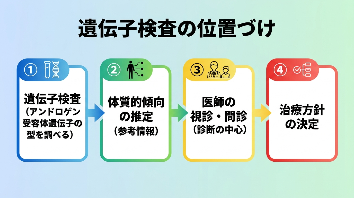 タイトル: 遺伝子検査の位置づけ。フロー図: 遺伝子検査(アンドロゲン受容体遺伝子の型を調べる)→ 体質的傾向の推定(参考情報)→ 医師の視診・問診(診断の中心)→ 治療方針の決定。