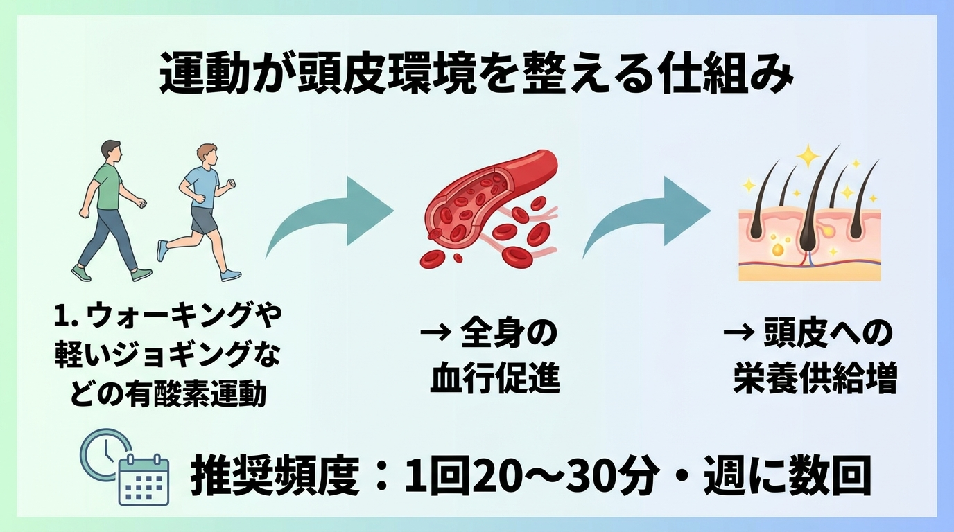 タイトル: 運動が頭皮環境を整える仕組み。ウォーキングや軽いジョギングなどの有酸素運動→血行促進→頭皮への栄養供給UP、という流れを矢印で示すイラスト。推奨頻度「1回20〜30分・週に数回」も併記。