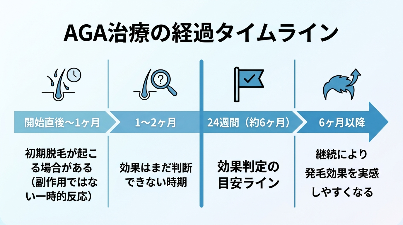 タイトル: AGA治療の経過タイムライン。横軸を時間経過としたタイムライン図: 開始直後〜1ヶ月=初期脱毛が起こる場合がある(副作用ではない一時的反応)。1〜2ヶ月=効果はまだ判断できない時期。24週間(約6ヶ月)=効果判定の目安ライン。6ヶ月以降=継続により発毛効果を実感しやすくなる