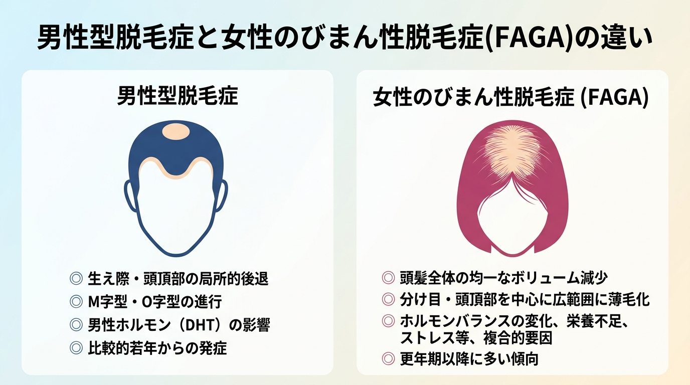 タイトル: 男性型脱毛症と女性のびまん性脱毛症(FAGA)の違い。左右2つのイラストを並べて表示。左: 男性型、生え際・頭頂部が局所的に後退している頭部シルエット。右: びまん性、分け目・頭頂部を中心に髪全体のボリュームが均一に薄くなっている頭部シルエット。