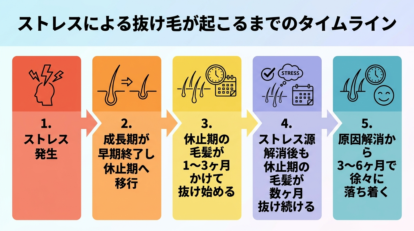 タイトル: ストレスによる抜け毛が起こるまでのタイムライン。矢印でつながる5段階のタイムライン図:ステップ1「ストレス発生」→ステップ2「成長期が早期終了し休止期へ移行」→ステップ3「休止期の毛髪が1〜3ヶ月かけて抜け始める」→ステップ4「ストレス源解消後も休止期の毛髪が数ヶ月抜け続ける」→ステップ5「原因解消から3〜6ヶ月で徐々に落ち着く」。