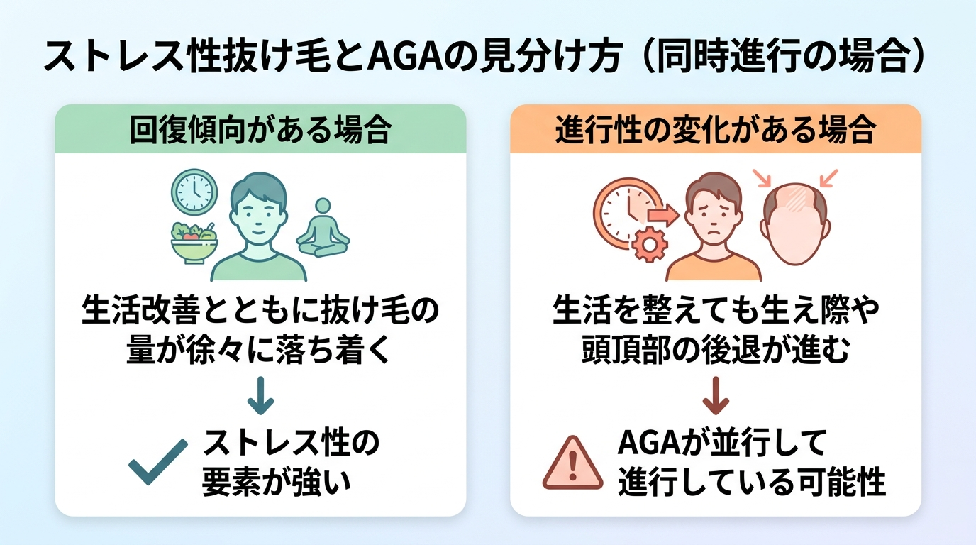 タイトル: ストレス性抜け毛とAGAの見分け方(同時進行の場合)。2カード比較。カード1見出し「回復傾向がある場合」説明:生活改善とともに抜け毛の量が徐々に落ち着く=ストレス性の要素が強い。カード2見出し「進行性の変化がある場合」説明:生活を整えても生え際や頭頂部の後退が進む=AGAが並行して進行している可能性。