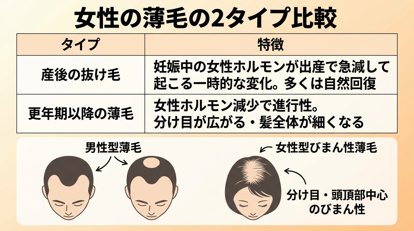 タイトル: 女性の薄毛の2タイプ比較。2列の表: ヘッダー行: タイプ | 特徴。行1: 産後の抜け毛 | 妊娠中の女性ホルモンが出産で急減して起こる一時的な変化。多くは自然回復。行2: 更年期以降の薄毛 | 女性ホルモン減少で進行性。分け目が広がる・髪全体が細くなる。男性型と異なり分け目・頭頂部中心のびまん性であることを示すイラストを添える