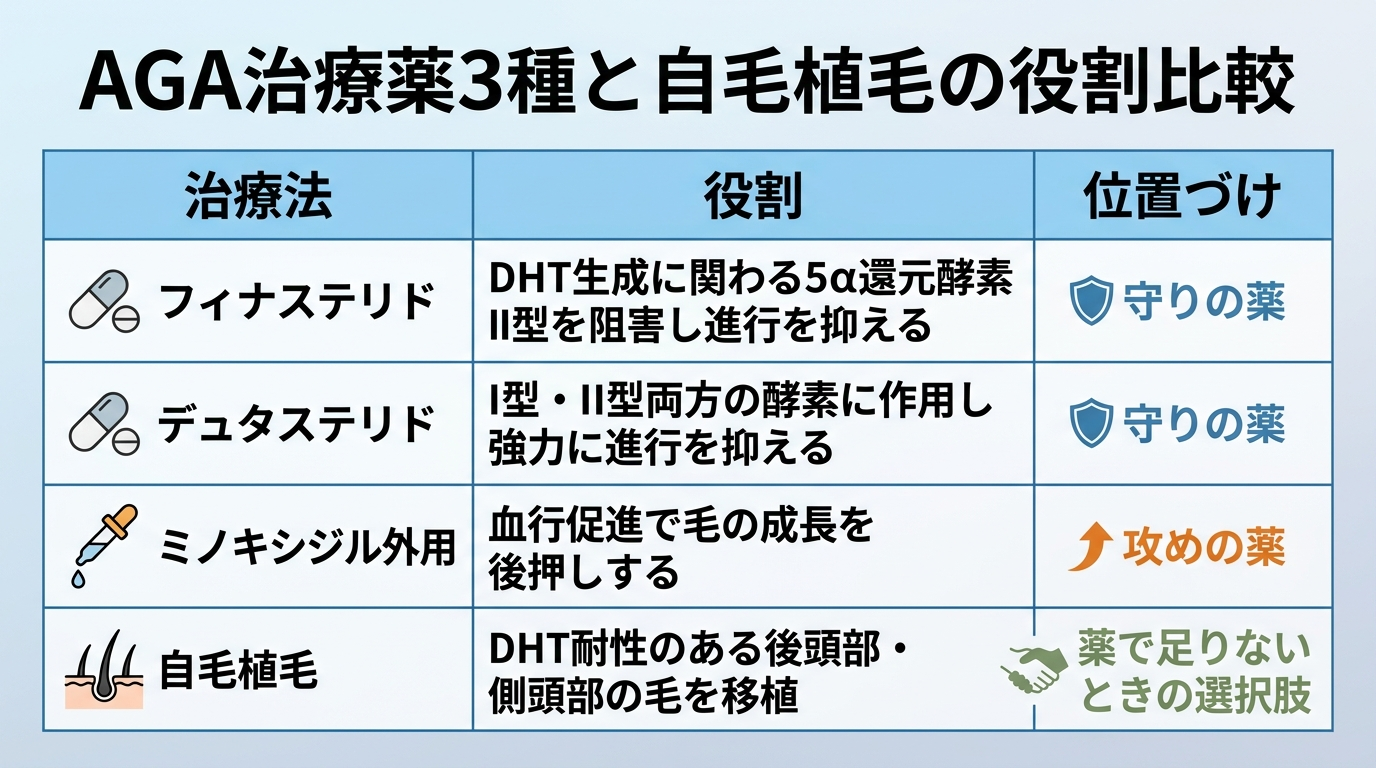 タイトル: AGA治療薬3種と自毛植毛の役割比較。4行の表: ヘッダー行: 治療法 | 役割 | 位置づけ。行1: フィナステリド | DHT生成に関わる5α還元酵素II型を阻害し進行を抑える | 守りの薬。行2: デュタステリド | I型・II型両方の酵素に作用し強力に進行を抑える | 守りの薬。行3: ミノキシジル外用 | 血行促進で毛の成長を後押しする | 攻めの薬。行4: 自毛植毛 | DHT耐性のある後頭部・側頭部の毛を移植 | 薬で足りないときの選択肢