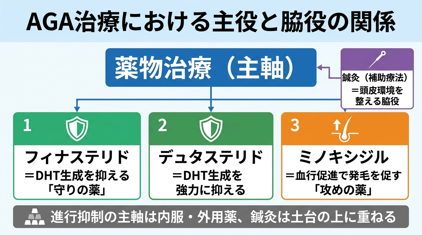 タイトル: AGA治療における主役と脇役の関係。中央に大きく「薬物治療（主軸）」を配置し、その下に3つのボックス: フィナステリド=DHT生成を抑える「守りの薬」、デュタステリド=DHT生成を強力に抑える、ミノキシジル=血行促進で発毛を促す「攻めの薬」。周囲に小さく「鍼灸（補助療法）＝頭皮環境を整える脇役」を配置。補足: 進行抑制の主軸は内服・外用薬、鍼灸は土台の上に重ねる