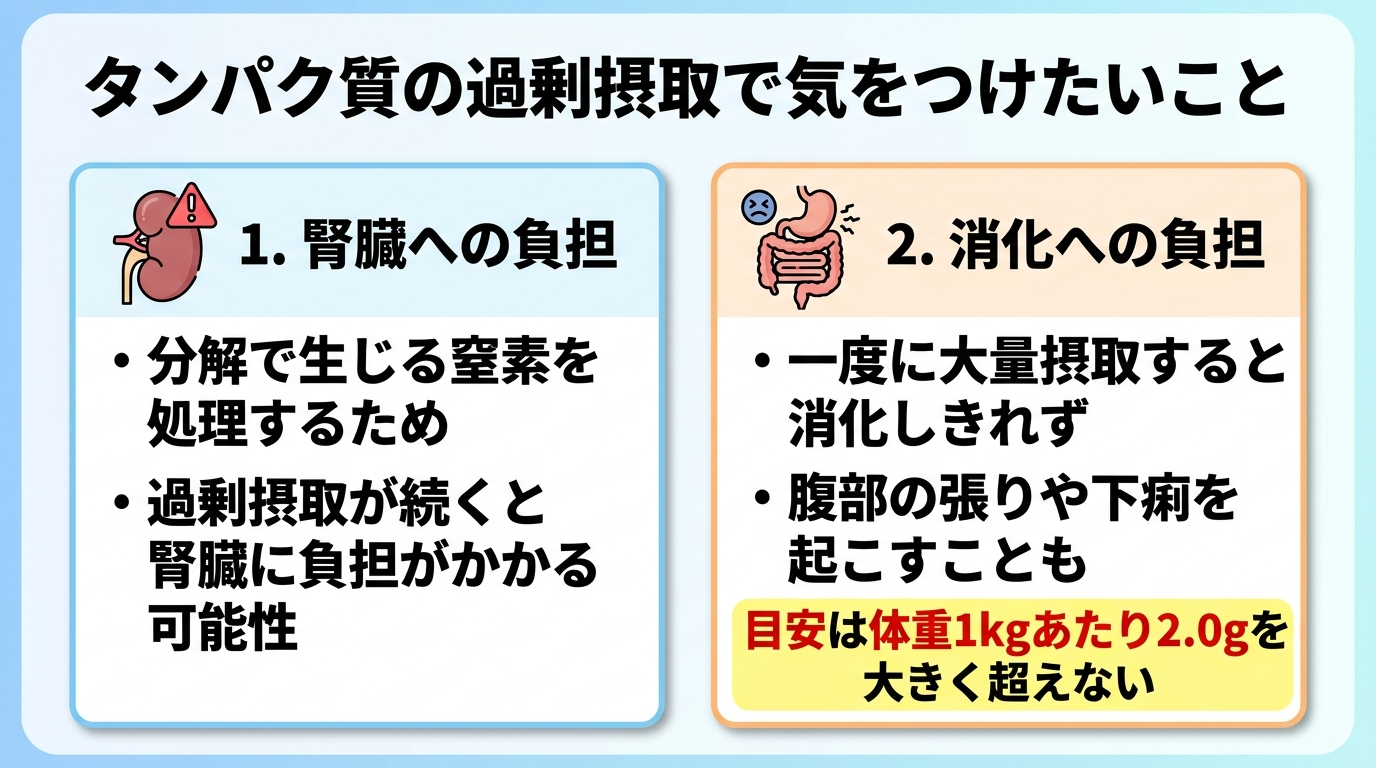 タイトル: タンパク質の過剰摂取で気をつけたいこと。横並び2カードで: カード1(腎臓のアイコン)ヘッダー: 腎臓への負担、説明: 分解で生じる窒素を処理するため、過剰摂取が続くと腎臓に負担がかかる可能性。カード2(消化器のアイコン)ヘッダー: 消化への負担、説明: 一度に大量摂取すると消化しきれず腹部の張りや下痢を起こすことも。目安は体重1kgあたり2.0gを大きく超えない