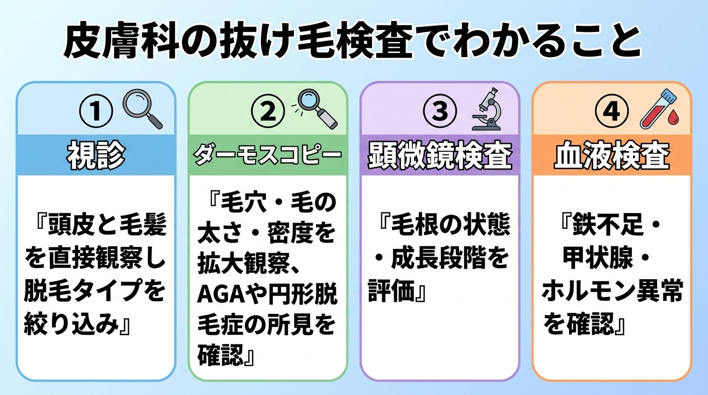 タイトル: 皮膚科の抜け毛検査でわかること。4項目のカード型: カード1(虫眼鏡アイコン)視診『頭皮と毛髪を直接観察し脱毛タイプを絞り込み』。カード2(拡大鏡アイコン)ダーモスコピー『毛穴・毛の太さ・密度を拡大観察、AGAや円形脱毛症の所見を確認』。カード3(顕微鏡アイコン)顕微鏡検査『毛根の状態・成長段階を評価』。カード4(血液サンプルアイコン)血液検査『鉄不足・甲状腺・ホルモン異常を確認』