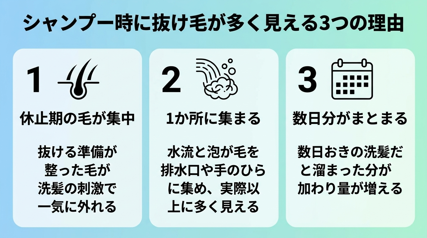 タイトル: シャンプー時に抜け毛が多く見える3つの理由。横並び3カードで: カード1(毛根アイコン)休止期の毛が集中: 抜ける準備が整った毛が洗髪の刺激で一気に外れる。カード2(水流アイコン)1か所に集まる: 水流と泡が毛を排水口や手のひらに集め、実際以上に多く見える。カード3(カレンダーアイコン)数日分がまとまる: 数日おきの洗髪だと溜まった分が加わり量が増える