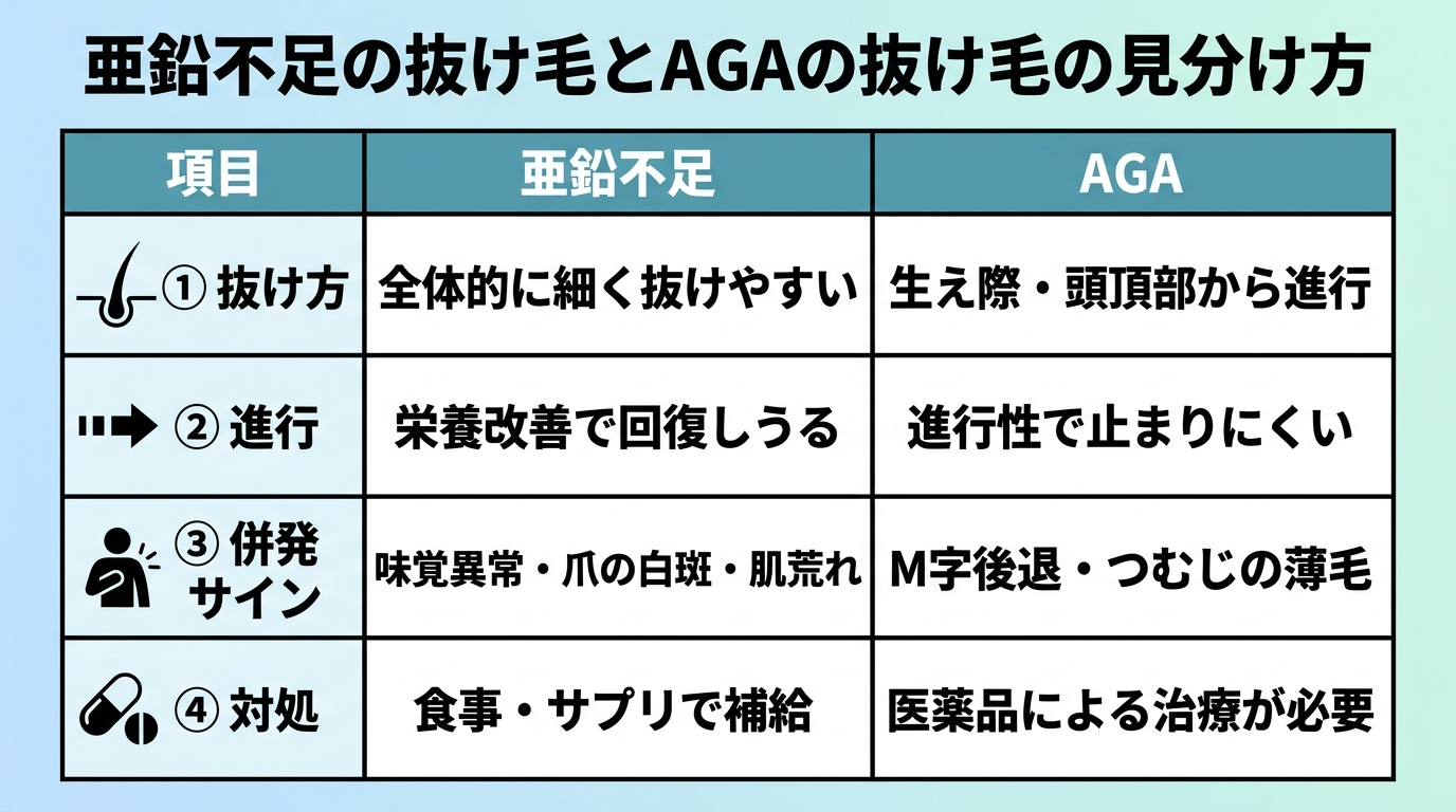 タイトル: 亜鉛不足の抜け毛とAGAの抜け毛の見分け方。2列の比較表: ヘッダー行: 項目 | 亜鉛不足 | AGA。行1: 抜け方 | 全体的に細く抜けやすい | 生え際・頭頂部から進行。行2: 進行 | 栄養改善で回復しうる | 進行性で止まりにくい。行3: 併発サイン | 味覚異常・爪の白斑・肌荒れ | M字後退・つむじの薄毛。行4: 対処 | 食事・サプリで補給 | 医薬品による治療が必要