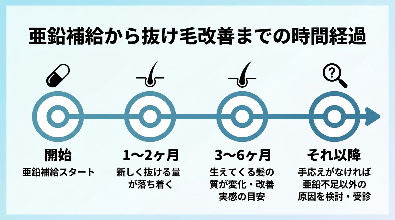 タイトル: 亜鉛補給から抜け毛改善までの時間経過。横方向のタイムライン図: 開始『亜鉛補給スタート』→ 1〜2ヶ月『新しく抜ける量が落ち着く』→ 3〜6ヶ月『生えてくる髪の質が変化・改善実感の目安』→ それ以降『手応えがなければ亜鉛不足以外の原因を検討・受診』。各段階を丸印とラベルで示す。