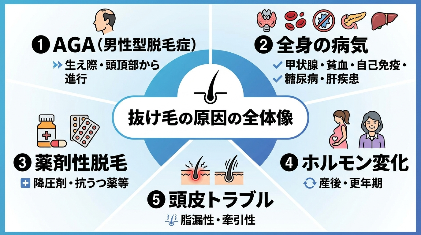 タイトル: 抜け毛の原因の全体像。中央に「抜け毛」を置き、放射状に5つの原因カテゴリを配置するイラスト図。カテゴリ1: AGA（男性型脱毛症）生え際・頭頂部から進行。カテゴリ2: 全身の病気（甲状腺・貧血・自己免疫・糖尿病・肝疾患）。カテゴリ3: 薬剤性脱毛（降圧剤・抗うつ薬等）。カテゴリ4: ホルモン変化（産後・更年期）。カテゴリ5: 頭皮トラブル（脂漏性・牽引性）