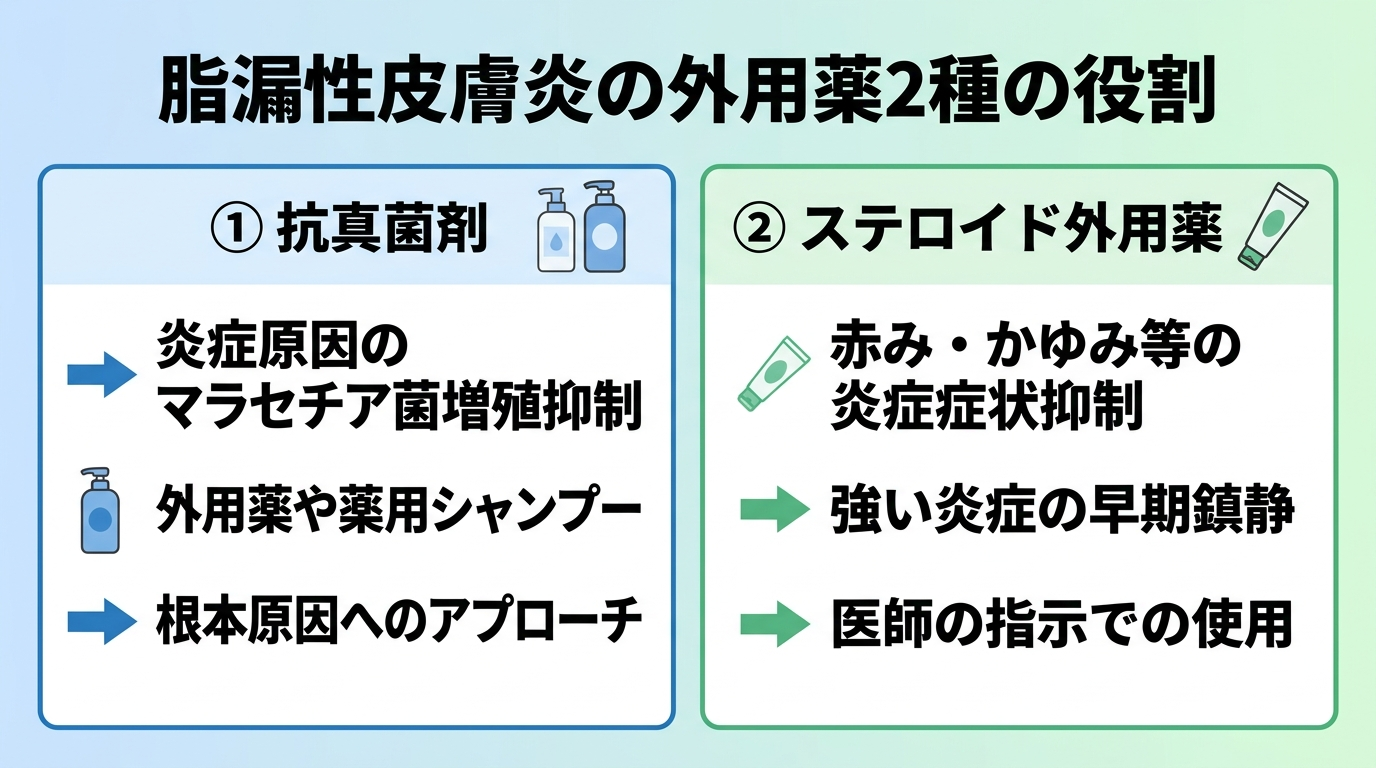 タイトル: 脂漏性皮膚炎の外用薬2種の役割。横並び2カードで: カード1（薬のアイコン）ヘッダー: 抗真菌剤、説明: 炎症の原因であるマラセチア菌の増殖を抑える。外用薬や薬用シャンプー。根本原因にアプローチ。カード2（薬のアイコン）ヘッダー: ステロイド外用薬、説明: 赤み・かゆみといった炎症症状を抑える。強い炎症を早く鎮めたいときに医師の指示で使用