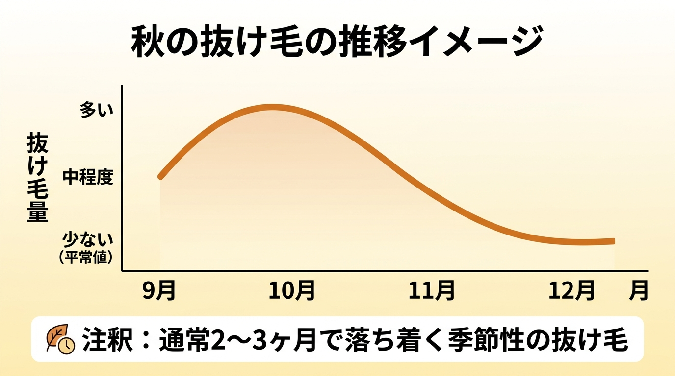 タイトル: 秋の抜け毛の推移イメージ。横軸に月(9月・10月・11月・12月)、縦軸に抜け毛量をとった折れ線グラフ。9〜10月にピーク(山)を描き、11月に徐々に低下、12月に平常値へ戻る曲線。グラフ下に注釈テキスト『季節性の抜け毛は通常2〜3ヶ月で落ち着く』