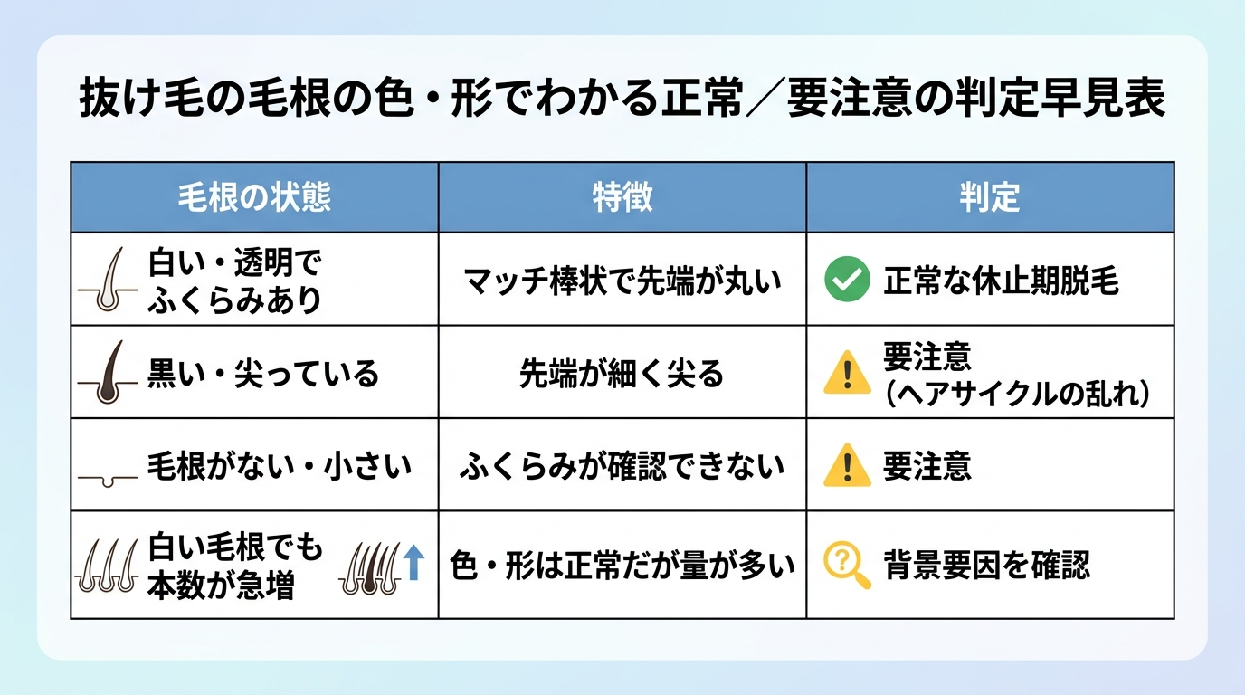 タイトル: 抜け毛の毛根の色・形でわかる正常/要注意の判定早見表。3列の表: ヘッダー行: 毛根の状態 | 特徴 | 判定。行1: 白い・透明でふくらみあり | マッチ棒状で先端が丸い | 正常な休止期脱毛。行2: 黒い・尖っている | 先端が細く尖る | 要注意(ヘアサイクルの乱れ)。行3: 毛根がない・小さい | ふくらみが確認できない | 要注意。行4: 白い毛根でも本数が急増 | 色・形は正常だが量が多い | 背景要因を確認