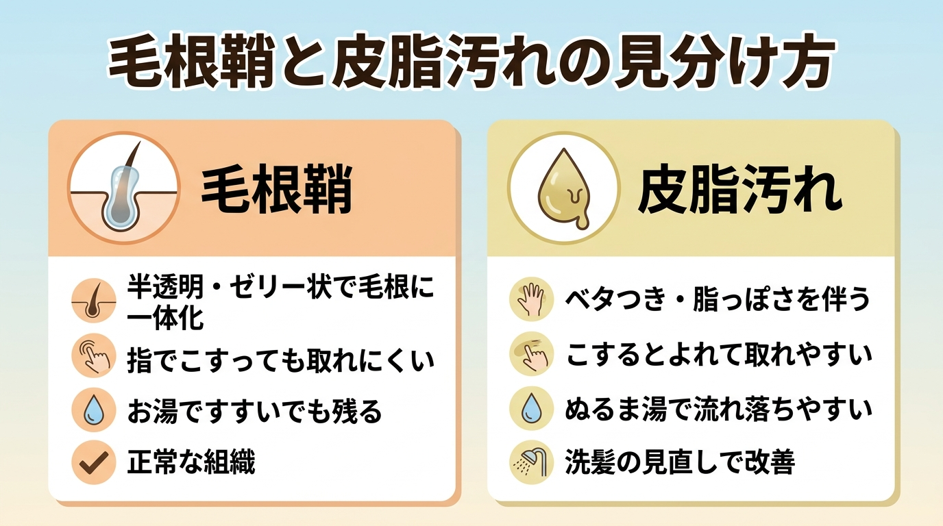 タイトル: 毛根鞘と皮脂汚れの見分け方。横並び2カードで比較。カード1(毛根のアイコン)ヘッダー: 毛根鞘、説明: 半透明・ゼリー状で毛根に一体化。指でこすっても取れにくい。お湯ですすいでも残る。正常な組織。カード2(しずくのアイコン)ヘッダー: 皮脂汚れ、説明: ベタつき・脂っぽさを伴う。こするとよれて取れやすい。ぬるま湯で流れ落ちやすい。洗髪の見直しで改善