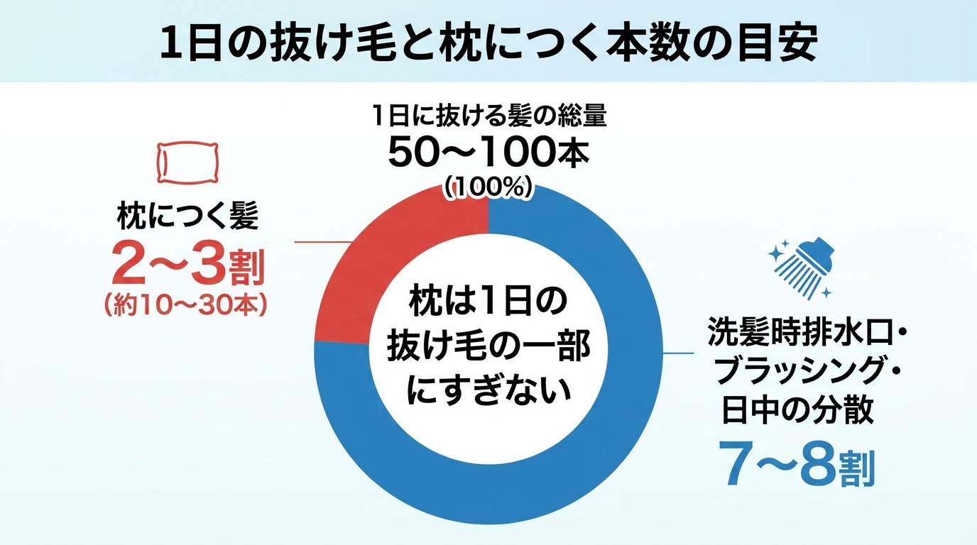 タイトル: 1日の抜け毛と枕につく本数の目安。円グラフまたは横棒図で: 1日に抜ける髪の総量50〜100本を100%として、そのうち枕につくのは2〜3割(約10〜30本)、残り7〜8割は洗髪時の排水口・ブラッシング・日中の衣類や床に分散、と内訳を図示。中央に『枕は1日の抜け毛の一部にすぎない』のキャプション