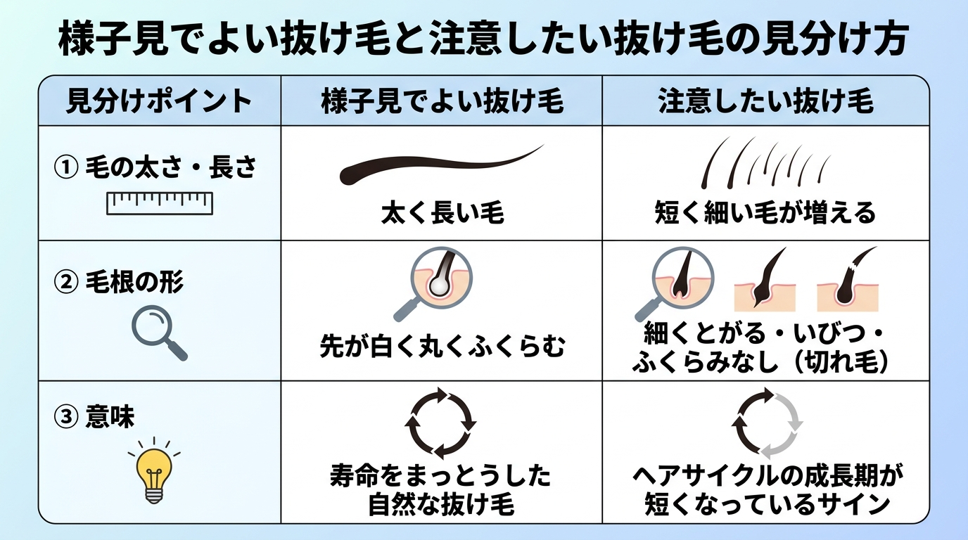 タイトル: 様子見でよい抜け毛と注意したい抜け毛の見分け方。2列の比較表: ヘッダー行: 見分けポイント | 様子見でよい抜け毛 | 注意したい抜け毛。行1: 毛の太さ・長さ | 太く長い毛 | 短く細い毛が増える。行2: 毛根の形 | 先が白く丸くふくらむ | 細くとがる・いびつ・ふくらみなし(切れ毛)。行3: 意味 | 寿命をまっとうした自然な抜け毛 | ヘアサイクルの成長期が短くなっているサイン
