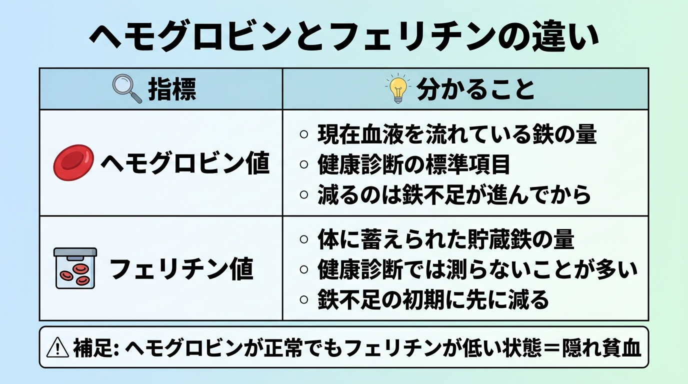 タイトル: ヘモグロビンとフェリチンの違い。2列比較の表: ヘッダー行: 指標 | 分かること。行1: ヘモグロビン値 | 現在血液を流れている鉄の量。健康診断の標準項目。減るのは鉄不足が進んでから。行2: フェリチン値 | 体に蓄えられた貯蔵鉄の量。健康診断では測らないことが多い。鉄不足の初期に先に減る。補足: ヘモグロビンが正常でもフェリチンが低い状態=隠れ貧血。