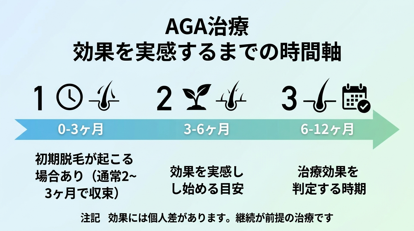 タイトル: AGA治療 効果を実感するまでの時間軸。横方向のタイムライン図で: 0〜3ヶ月: 初期脱毛が起こる場合あり（通常2〜3ヶ月で収束）。3〜6ヶ月: 効果を実感し始める目安。6〜12ヶ月: 治療効果を判定する時期。下部に注記『効果には個人差があります。継続が前提の治療です』