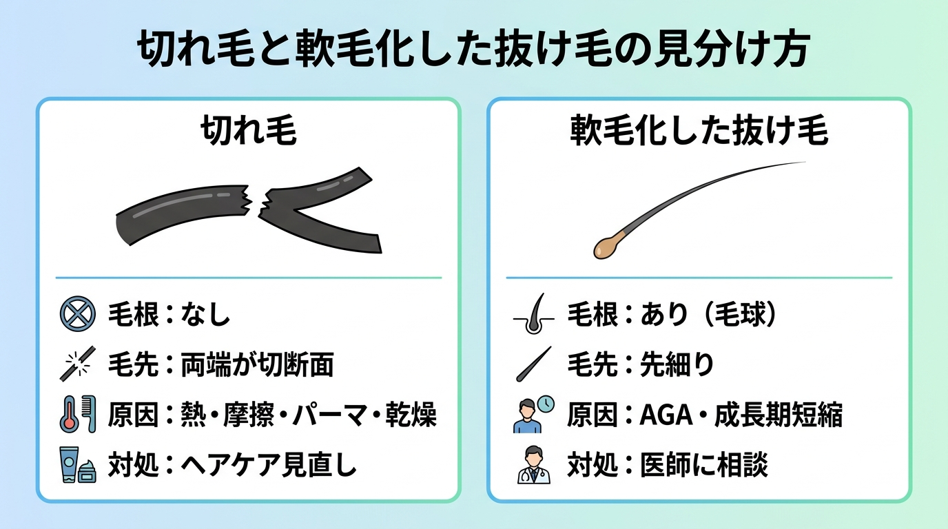 タイトル: 切れ毛と軟毛化した抜け毛の見分け方。横並び2カード比較。カード1(切れ毛): 毛のイラストで両端が切断面、毛根なし。項目『毛根: なし』『毛先: 両端が切断面』『原因: 熱・摩擦・パーマ・乾燥』『対処: ヘアケア見直し』。カード2(軟毛化した抜け毛): 根元にマッチ棒状の毛根、先端が先細り。項目『毛根: あり(毛球)』『毛先: 先細り』『原因: AGA・成長期短縮』『対処: 医師に相談』