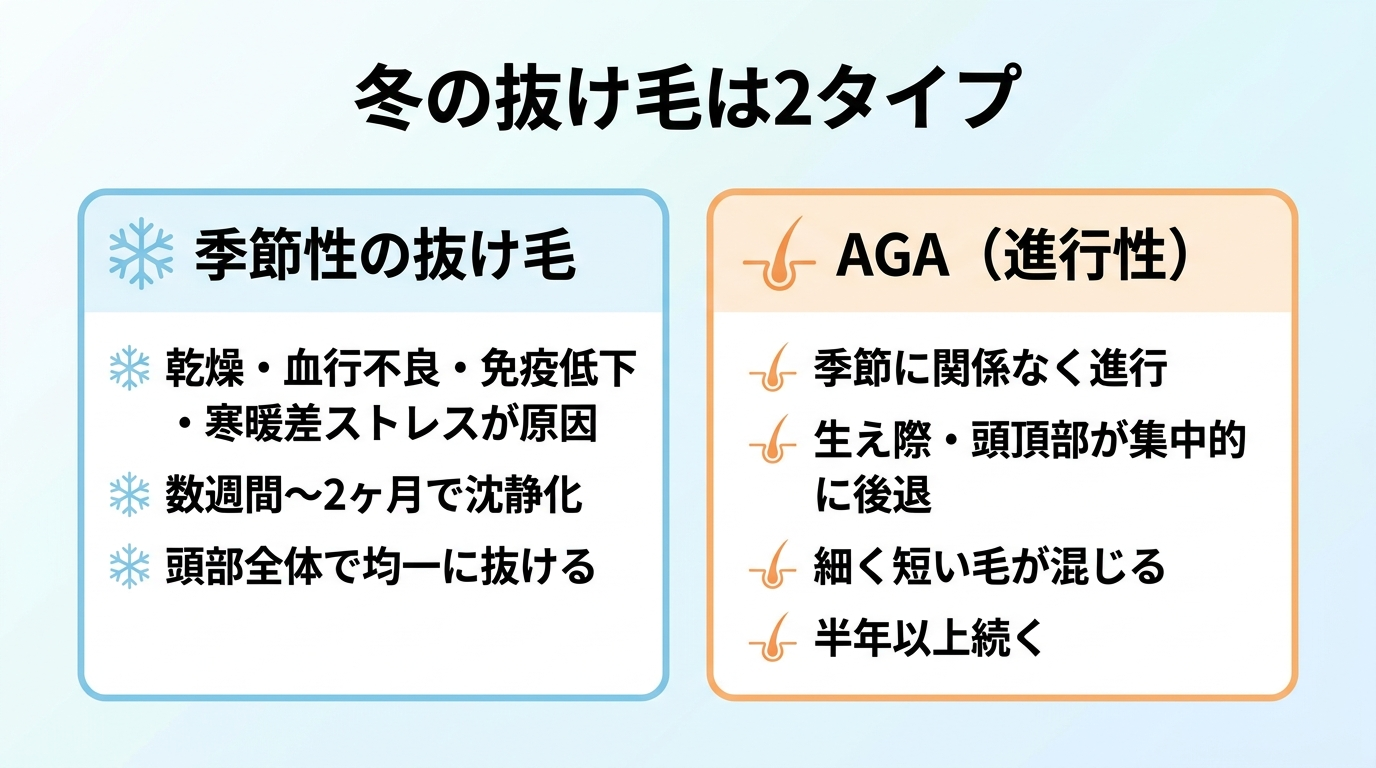 タイトル: 冬の抜け毛は2タイプ。横並び2カードで比較。カード1(雪の結晶のアイコン)ヘッダー: 季節性の抜け毛、説明: 乾燥・血行不良・免疫低下・寒暖差ストレスが原因。数週間〜2ヶ月で沈静化。頭部全体で均一に抜ける。カード2(毛根のアイコン)ヘッダー: AGA(進行性)、説明: 季節に関係なく進行。生え際・頭頂部が集中的に後退。細く短い毛が混じる。半年以上続く