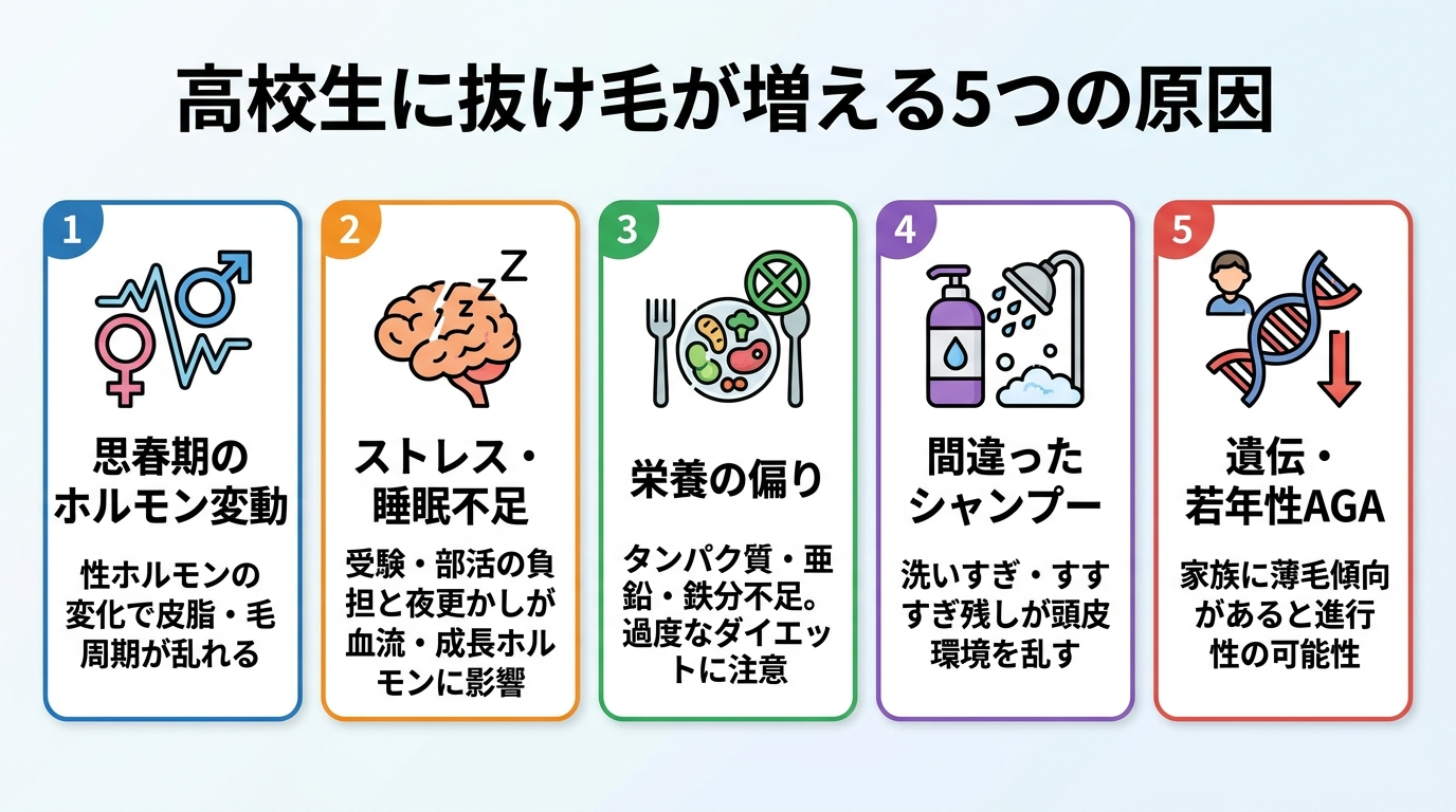 タイトル: 高校生に抜け毛が増える5つの原因。横並び5カードで: カード1(ホルモンのアイコン)思春期のホルモン変動、説明: 性ホルモンの変化で皮脂・毛周期が乱れる。カード2(脳とZzzのアイコン)ストレス・睡眠不足、説明: 受験・部活の負担と夜更かしが血流・成長ホルモンに影響。カード3(食事のアイコン)栄養の偏り、説明: タンパク質・亜鉛・鉄分不足。過度なダイエットに注意。カード4(シャンプーのアイコン)間違ったシャンプー、説明: 洗いすぎ・すすぎ残しが頭皮環境を乱す。カード5(DNAのアイコン)遺伝・若年性AGA、説明: 家族に薄毛傾向があると進行性の可能性