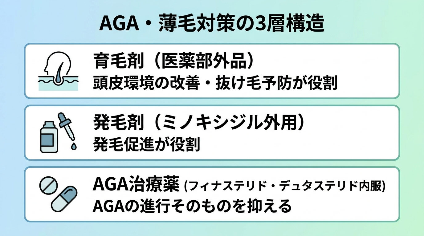 タイトル: AGA・薄毛対策の3層構造。縦並び3カードで: カード1（頭皮アイコン）ヘッダー: 育毛剤（医薬部外品）、説明: 頭皮環境の改善・抜け毛予防が役割。カード2（外用ボトルのアイコン）ヘッダー: 発毛剤（ミノキシジル外用）、説明: 発毛促進が役割。カード3（錠剤のアイコン）ヘッダー: AGA治療薬（フィナステリド・デュタステリド内服）、説明: AGAの進行そのものを抑える。