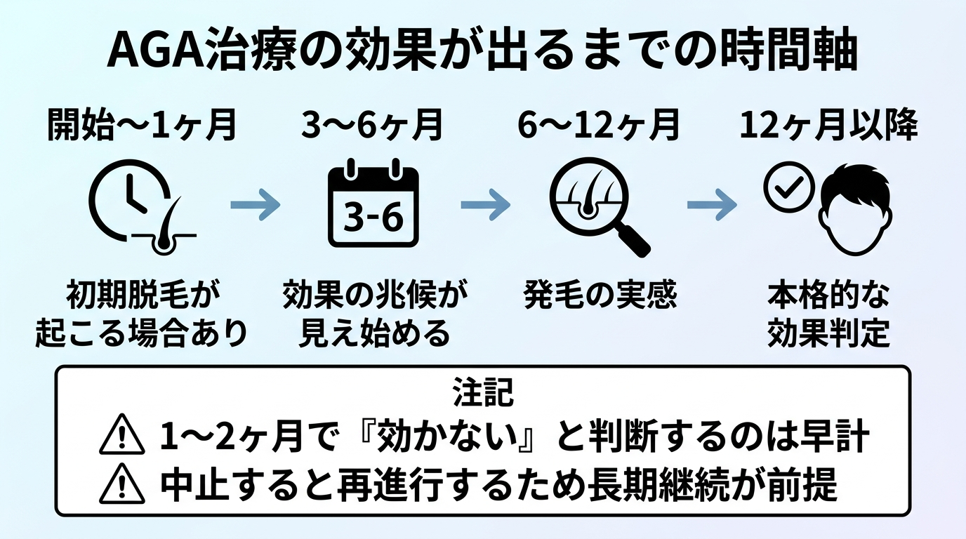 タイトル: AGA治療の効果が出るまでの時間軸。横方向のタイムライン図: 開始〜1ヶ月（初期脱毛が起こる場合あり）→ 3〜6ヶ月（効果の兆候が見え始める）→ 6〜12ヶ月（発毛の実感）→ 12ヶ月（本格的な効果判定）。下部に注記: 1〜2ヶ月で『効かない』と判断するのは早計。中止すると再進行するため長期継続が前提