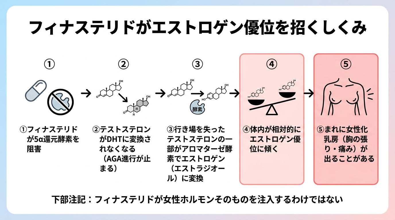 タイトル: フィナステリドがエストロゲン優位を招くしくみ。フロー図: ①フィナステリドが5α還元酵素を阻害 → ②テストステロンがDHTに変換されなくなる(AGA進行が止まる)→ ③行き場を失ったテストステロンの一部がアロマターゼ酵素でエストロゲン(エストラジオール)に変換 → ④体内が相対的にエストロゲン優位に傾く → ⑤まれに女性化乳房(胸の張り・痛み)が出ることがある。④⑤を薄い赤色で注意喚起。下部注記: フィナステリドが女性ホルモンそのものを注入するわけではない