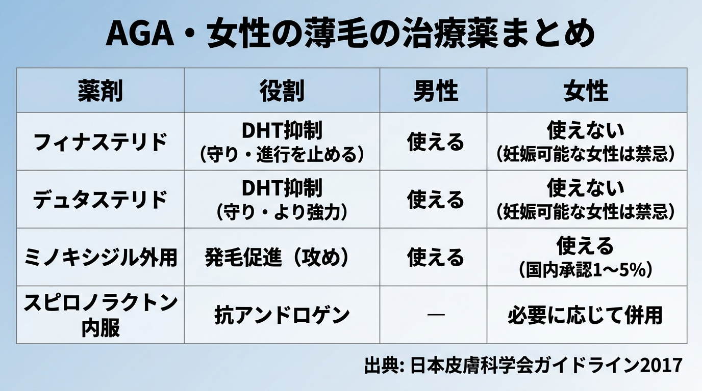 タイトル: AGA・女性の薄毛の治療薬まとめ。4列の表: ヘッダー行: 薬剤 | 役割 | 男性 | 女性。行1: フィナステリド | DHT抑制(守り・進行を止める) | 使える | 使えない(妊娠可能な女性は禁忌)。行2: デュタステリド | DHT抑制(守り・より強力) | 使える | 使えない(妊娠可能な女性は禁忌)。行3: ミノキシジル外用 | 発毛促進(攻め) | 使える | 使える(国内承認1〜5%)。行4: スピロノラクトン内服 | 抗アンドロゲン | ― | 必要に応じて併用。出典: 日本皮膚科学会ガイドライン2017