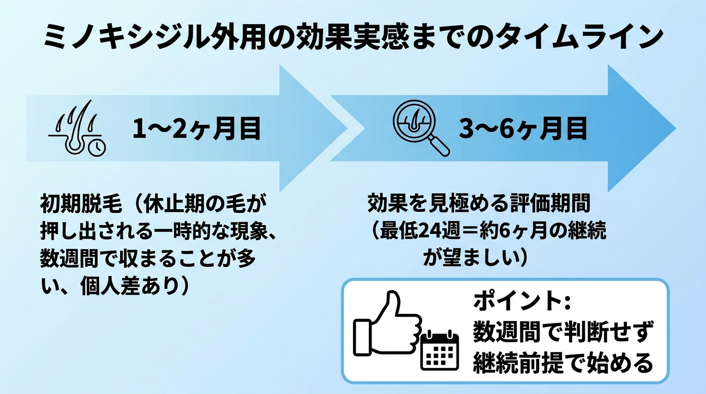タイトル: ミノキシジル外用の効果実感までのタイムライン。横方向の時間軸フロー図で: 1〜2ヶ月目: 初期脱毛(休止期の毛が押し出される一時的な現象、数週間で収まることが多い、個人差あり)。3〜6ヶ月目: 効果を見極める評価期間(最低24週=約6ヶ月の継続が望ましい)。ポイント: 数週間で判断せず継続前提で始める
