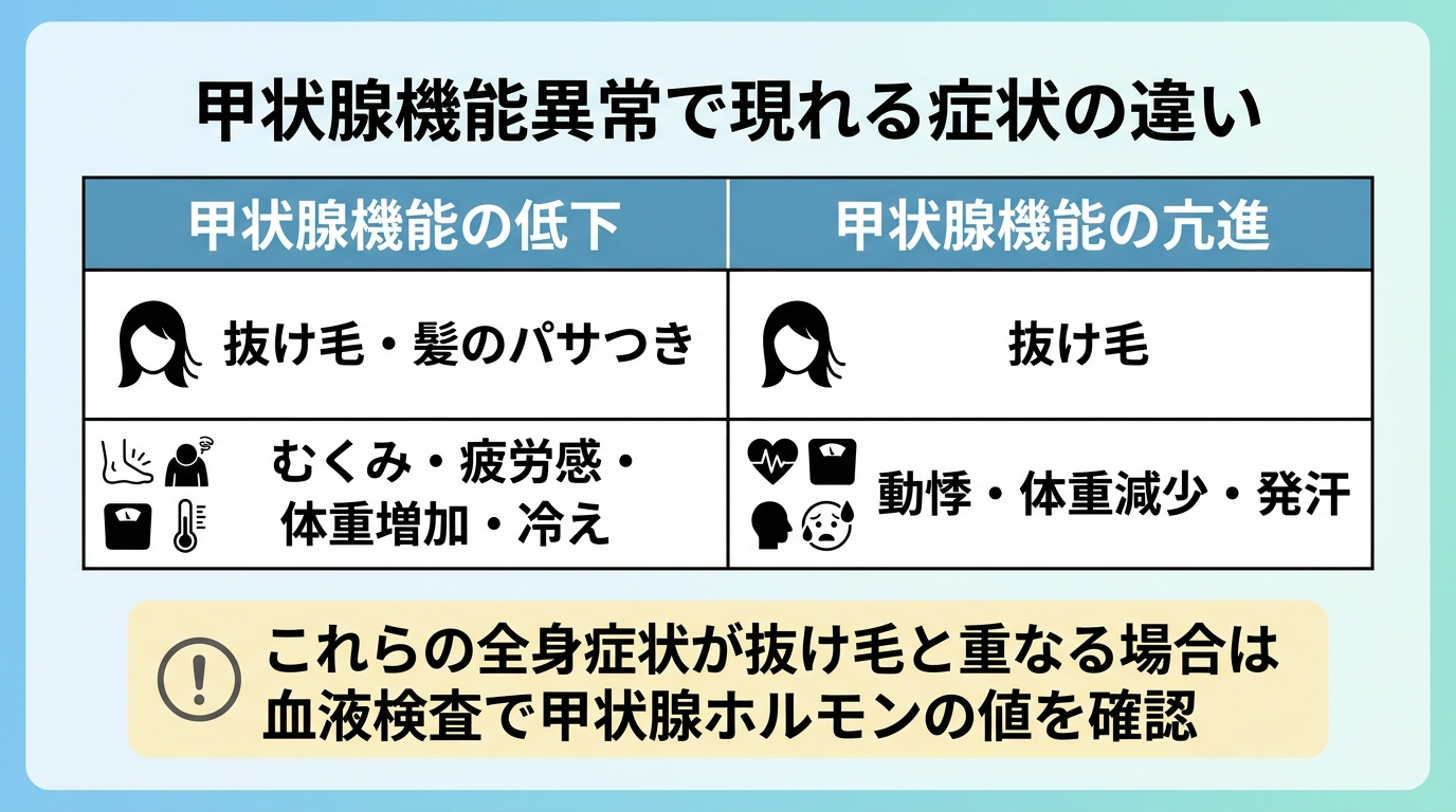 タイトル: 甲状腺機能異常で現れる症状の違い。2列の比較表: ヘッダー行: 甲状腺機能の低下 | 甲状腺機能の亢進。行1(共通症状): 抜け毛・髪のパサつき | 抜け毛。行2(その他の症状): むくみ・疲労感・体重増加・冷え | 動悸・体重減少・発汗。表下の注記: これらの全身症状が抜け毛と重なる場合は血液検査で甲状腺ホルモンの値を確認