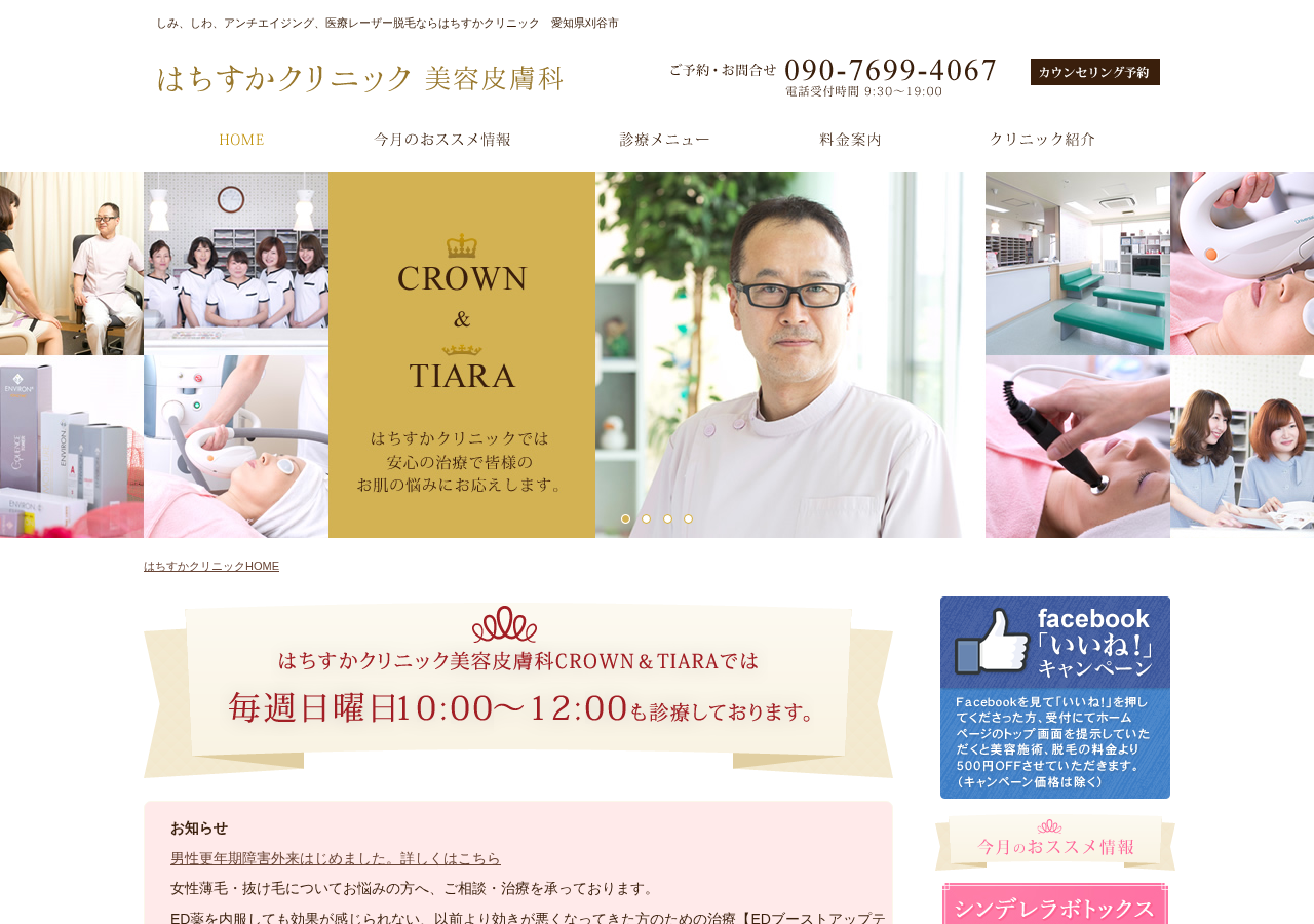 はちすかクリニック 公式サイトTOPページ