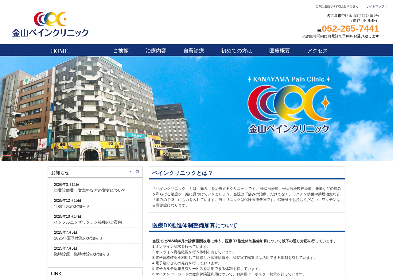 金山ペインクリニック 公式サイトTOPページ