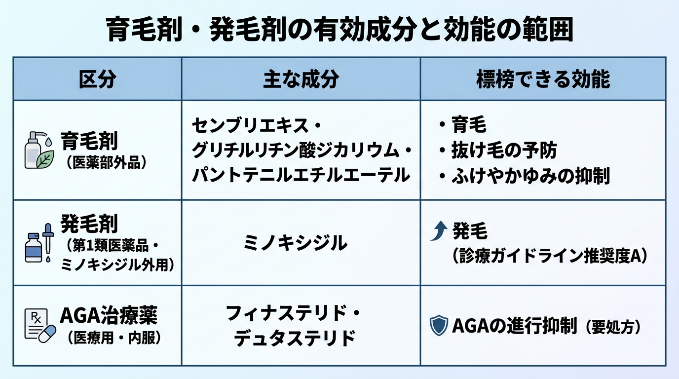 タイトル: 育毛剤・発毛剤の有効成分と効能の範囲。3列の表: ヘッダー行: 区分 | 主な成分 | 標榜できる効能。行1: 育毛剤(医薬部外品) | センブリエキス・グリチルリチン酸ジカリウム・パントテニルエチルエーテル | 育毛・抜け毛の予防・ふけやかゆみの抑制。行2: 発毛剤(第1類医薬品・ミノキシジル外用) | ミノキシジル | 発毛(診療ガイドライン推奨度A)。行3: AGA治療薬(医療用・内服) | フィナステリド・デュタステリド | AGAの進行抑制(要処方)