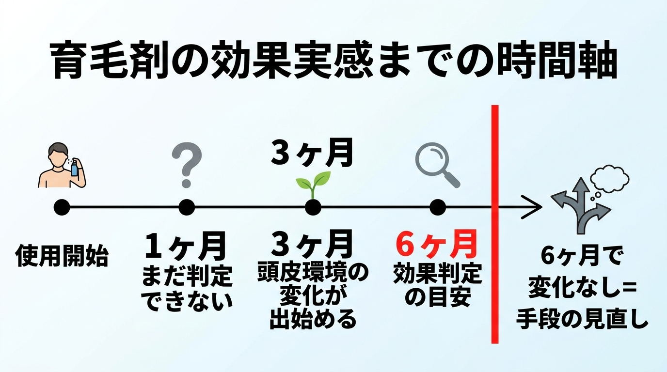 タイトル: 育毛剤の効果実感までの時間軸。横型のタイムライン図。左端「使用開始」→「1ヶ月: まだ判定できない」→「3ヶ月: 頭皮環境の変化が出始める」→「6ヶ月: 効果判定の目安」→右端「6ヶ月で変化なし＝手段の見直し」。各ポイントに月数を大きく表示し、6ヶ月地点を赤い縦線で強調