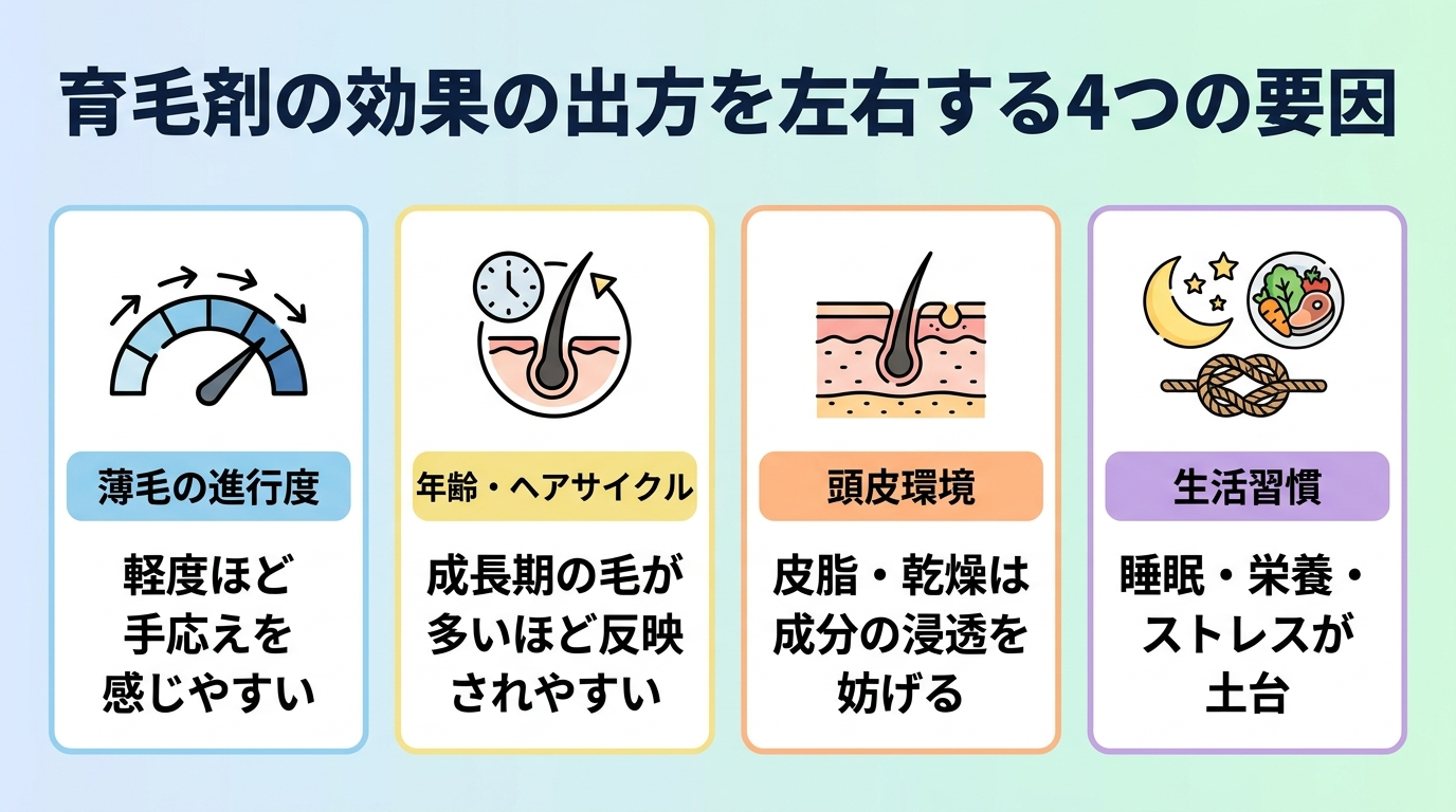 タイトル: 育毛剤の効果の出方を左右する4つの要因。横並び4カードで: カード1（進行度アイコン）ヘッダー: 薄毛の進行度、説明: 軽度ほど手応えを感じやすい。カード2（年齢アイコン）ヘッダー: 年齢・ヘアサイクル、説明: 成長期の毛が多いほど反映されやすい。カード3（頭皮アイコン）ヘッダー: 頭皮環境、説明: 皮脂・乾燥は成分の浸透を妨げる。カード4（生活習慣アイコン）ヘッダー: 生活習慣、説明: 睡眠・栄養・ストレスが土台