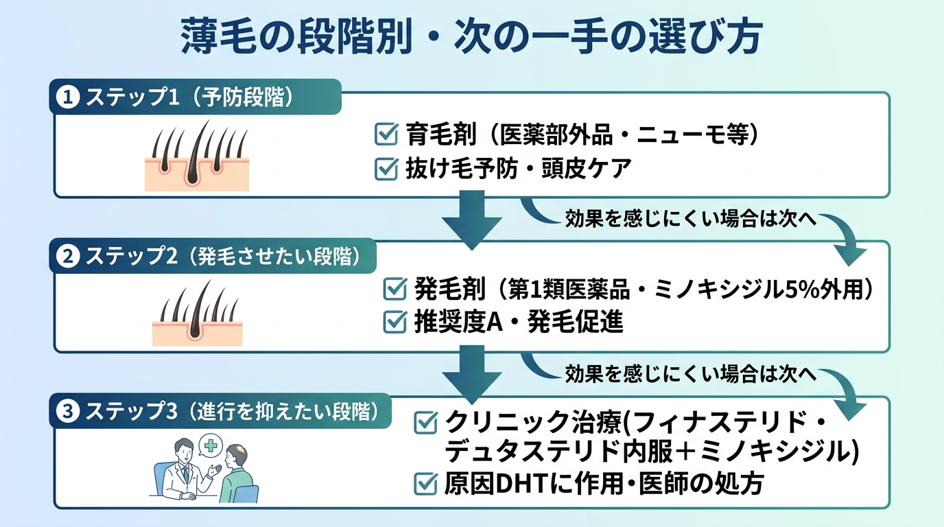 タイトル: 薄毛の段階別・次の一手の選び方。縦フロー図で: ステップ1（予防段階）育毛剤（医薬部外品・ニューモ等）→抜け毛予防・頭皮ケア。矢印下。ステップ2（発毛させたい段階）発毛剤（第1類医薬品・ミノキシジル5%外用）→推奨度A・発毛促進。矢印下。ステップ3（進行を抑えたい段階）クリニック治療（フィナステリド・デュタステリド内服＋ミノキシジル）→原因DHTに作用・医師の処方。各ステップに「効果を感じにくい場合は次へ」の分岐矢印