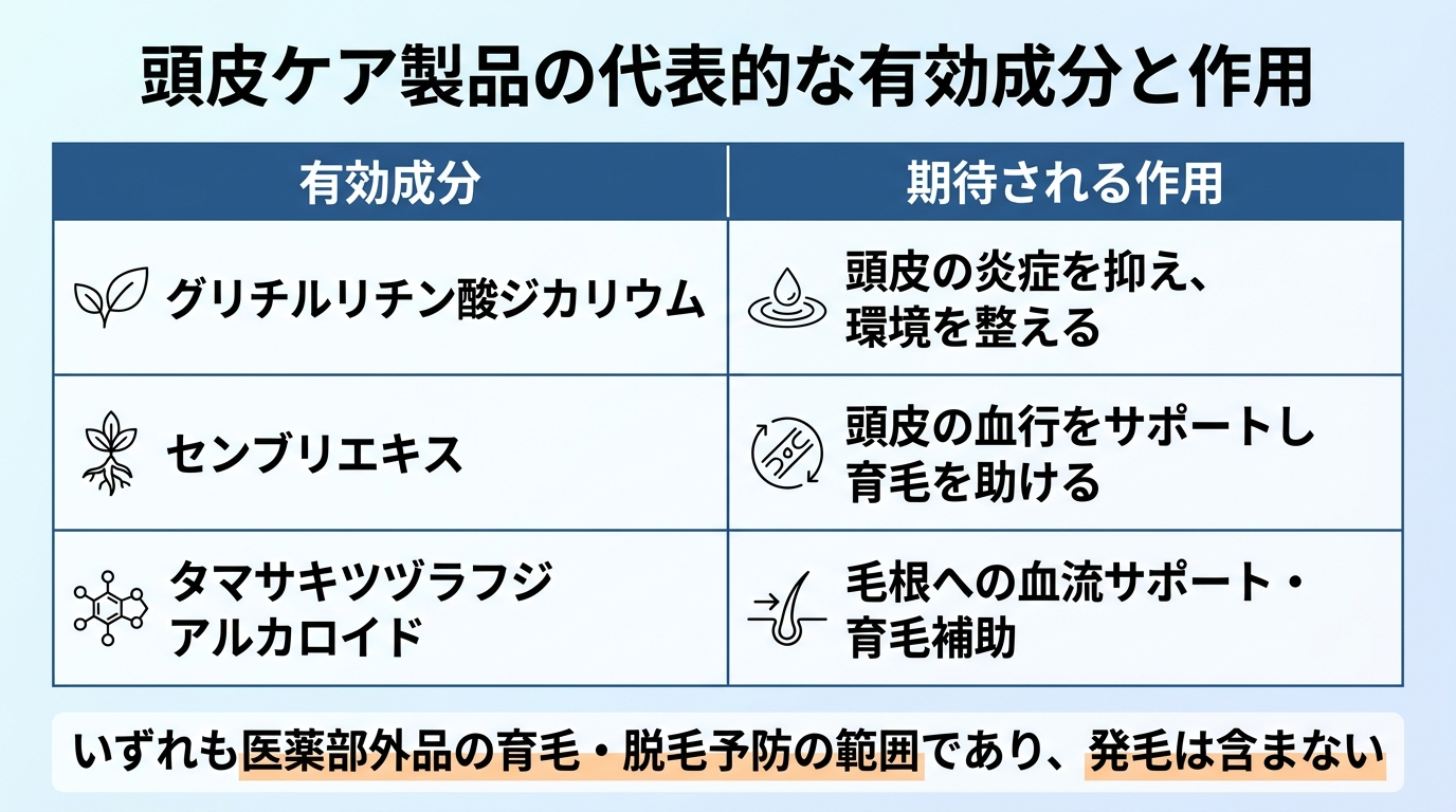 タイトル: 頭皮ケア製品の代表的な有効成分と作用。2列の表: ヘッダー行: 有効成分 | 期待される作用。行1: グリチルリチン酸ジカリウム | 頭皮の炎症を抑え、環境を整える。行2: センブリエキス | 頭皮の血行をサポートし育毛を助ける。行3: タマサキツヅラフジアルカロイド | 毛根への血流サポート・育毛補助。図の下部に『いずれも医薬部外品の育毛・脱毛予防の範囲であり、発毛は含まない』と注記