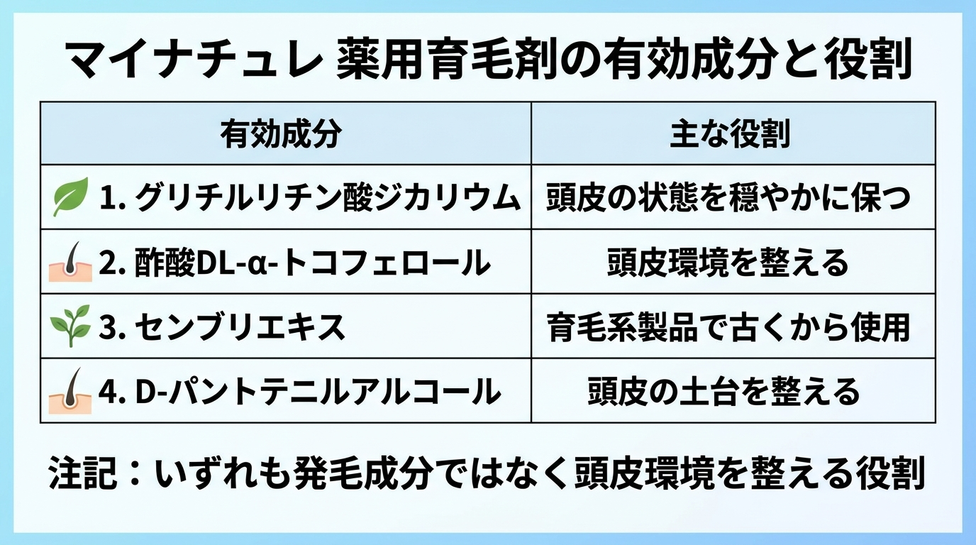 タイトル: マイナチュレ 薬用育毛剤の有効成分と役割。表形式。2列: ヘッダー行: 有効成分 | 主な役割。行1: グリチルリチン酸ジカリウム | 頭皮の状態を穏やかに保つ。行2: 酢酸DL-α-トコフェロール | 頭皮環境を整える。行3: センブリエキス | 育毛系製品で古くから使用。行4: D-パントテニルアルコール | 頭皮の土台を整える。図の下に注記: いずれも発毛成分ではなく頭皮環境を整える役割