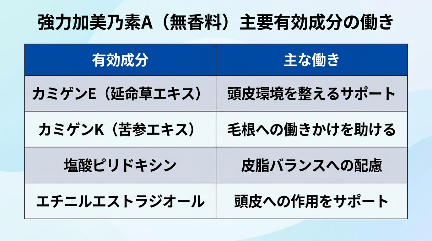 タイトル: 強力加美乃素A（無香料）主要有効成分の働き。2列の表: ヘッダー行: 有効成分 | 主な働き。行1: カミゲンE（延命草エキス） | 頭皮環境を整えるサポート。行2: カミゲンK（苦参エキス） | 毛根への働きかけを助ける。行3: 塩酸ピリドキシン | 皮脂バランスへの配慮。行4: エチニルエストラジオール | 頭皮への作用をサポート