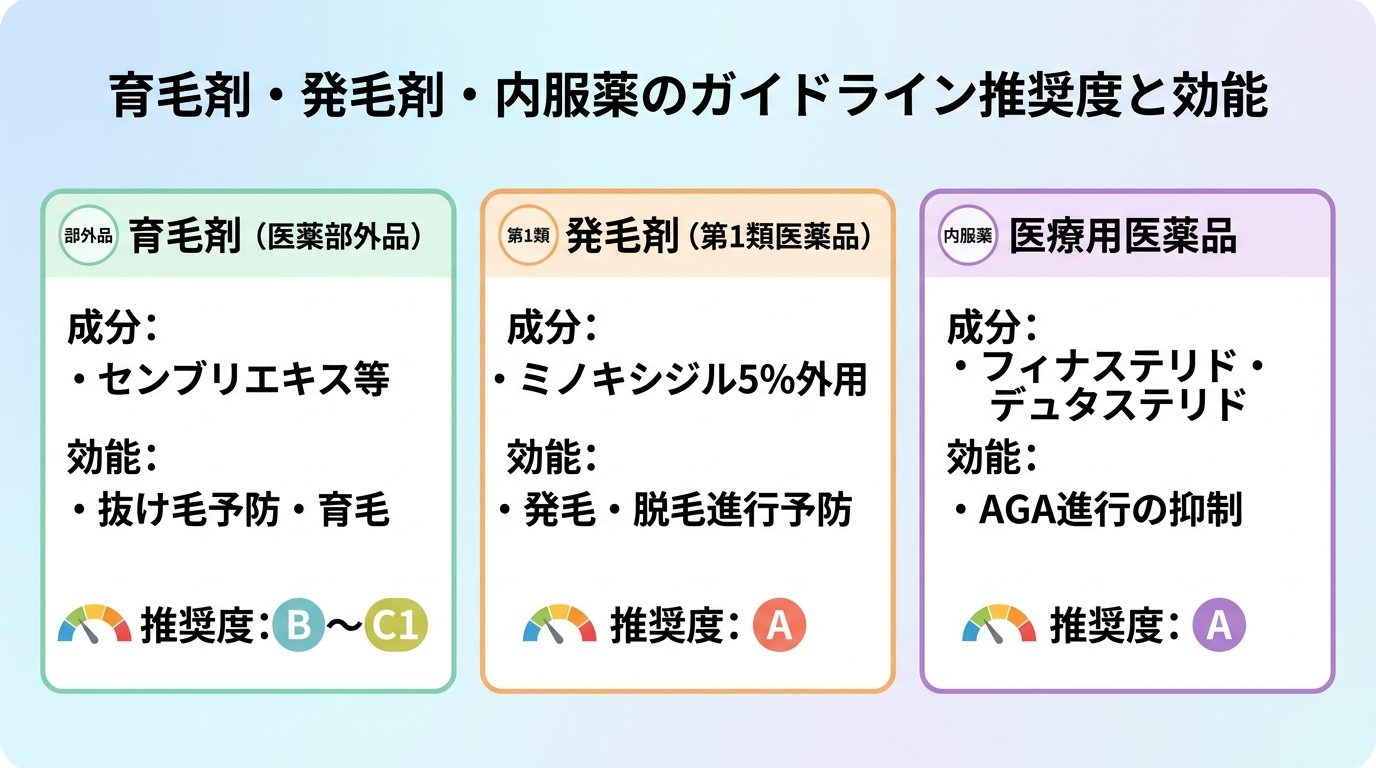 タイトル: 育毛剤・発毛剤・内服薬のガイドライン推奨度と効能。3カード横並び: カード1（部外品アイコン）育毛剤（医薬部外品）、成分: センブリエキス等、効能: 抜け毛予防・育毛、推奨度: B〜C1。カード2（第1類アイコン）発毛剤（第1類医薬品）、成分: ミノキシジル5%外用、効能: 発毛・脱毛進行予防、推奨度: A。カード3（内服薬アイコン）医療用医薬品、成分: フィナステリド・デュタステリド、効能: AGA進行の抑制、推奨度: A