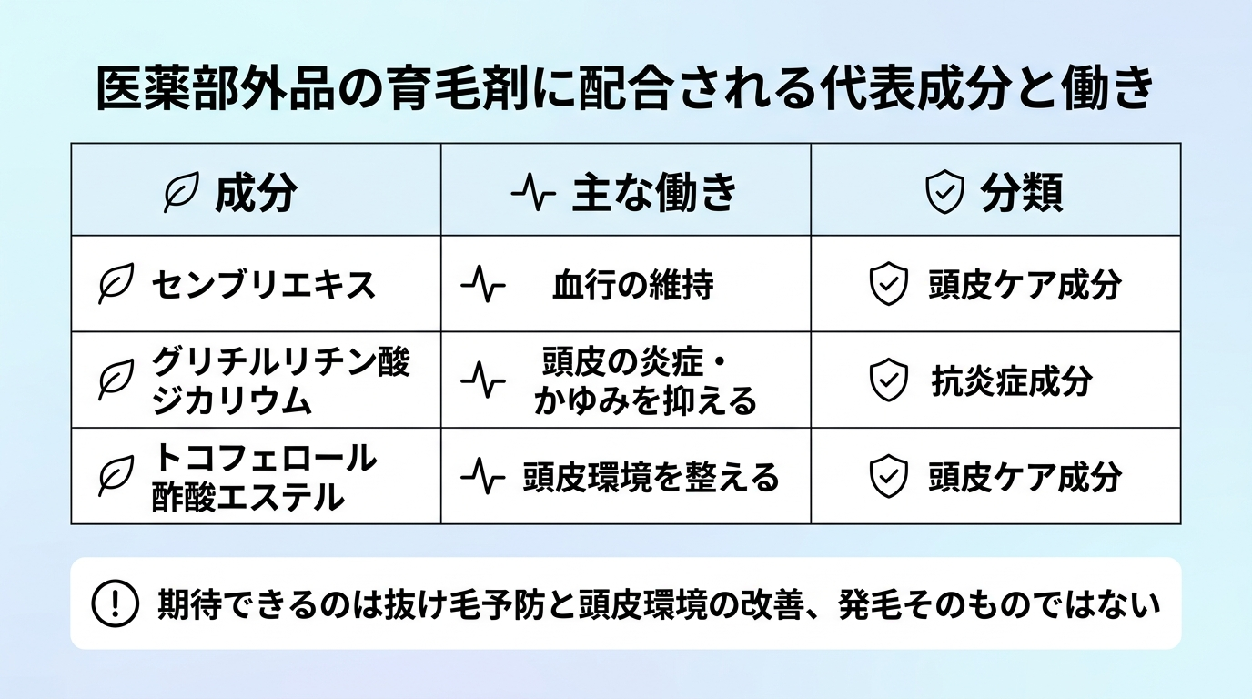 タイトル: 医薬部外品の育毛剤に配合される代表成分と働き。3列の表: ヘッダー行: 成分 | 主な働き | 分類。行1: センブリエキス | 血行の維持 | 頭皮ケア成分。行2: グリチルリチン酸ジカリウム | 頭皮の炎症・かゆみを抑える | 抗炎症成分。行3: トコフェロール酢酸エステル | 頭皮環境を整える | 頭皮ケア成分。下部に注記: 期待できるのは抜け毛予防と頭皮環境の改善、発毛そのものではない