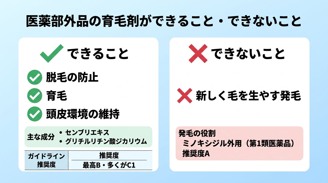 タイトル: 医薬部外品の育毛剤ができること・できないこと。横並び2カードで: カード1(チェックのアイコン)ヘッダー: できること、説明: 脱毛の防止・育毛・頭皮環境の維持。主な成分はセンブリエキス、グリチルリチン酸ジカリウム。ガイドライン推奨度は最高B・多くがC1。カード2(バツのアイコン)ヘッダー: できないこと、説明: 新しく毛を生やす発毛。発毛はミノキシジル外用(第1類医薬品)の役割で推奨度A