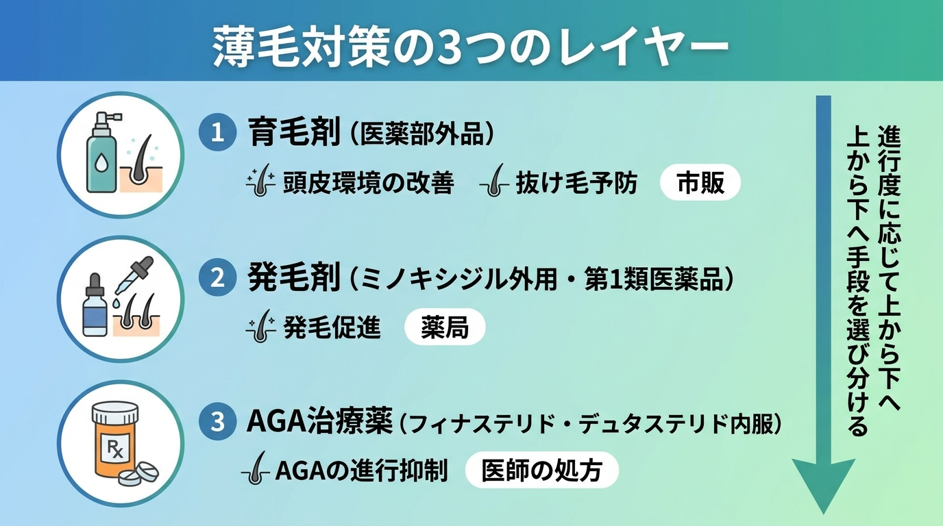 タイトル: 薄毛対策の3つのレイヤー。縦並び3ステップの図で: ステップ1: 育毛剤(医薬部外品)=頭皮環境の改善・抜け毛予防/市販。ステップ2: 発毛剤(ミノキシジル外用・第1類医薬品)=発毛促進/薬局。ステップ3: AGA治療薬(フィナステリド・デュタステリド内服)=AGAの進行抑制/医師の処方。進行度に応じて上から下へ手段を選び分ける矢印付き