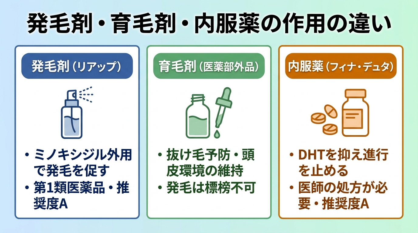 タイトル: 発毛剤・育毛剤・内服薬の作用の違い。横並び3カードで: カード1(スプレーのアイコン)ヘッダー: 発毛剤(リアップ)、説明: ミノキシジル外用で発毛を促す。第1類医薬品・推奨度A。カード2(ボトルのアイコン)ヘッダー: 育毛剤(医薬部外品)、説明: 抜け毛予防・頭皮環境の維持。発毛は標榜不可。カード3(錠剤のアイコン)ヘッダー: 内服薬(フィナ・デュタ)、説明: DHTを抑え進行を止める。医師の処方が必要・推奨度A