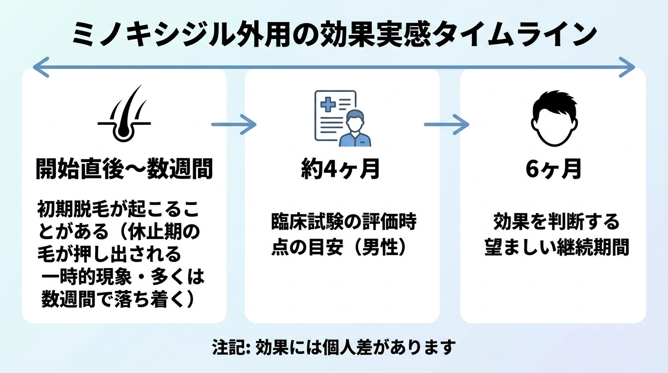 タイトル: ミノキシジル外用の効果実感タイムライン。横方向の時間軸で: 開始直後〜数週間: 初期脱毛が起こることがある（休止期の毛が押し出される一時的現象・多くは数週間で落ち着く）→ 約4ヶ月: 臨床試験の評価時点の目安（男性）→ 6ヶ月: 効果を判断する望ましい継続期間。注記: 効果には個人差があります